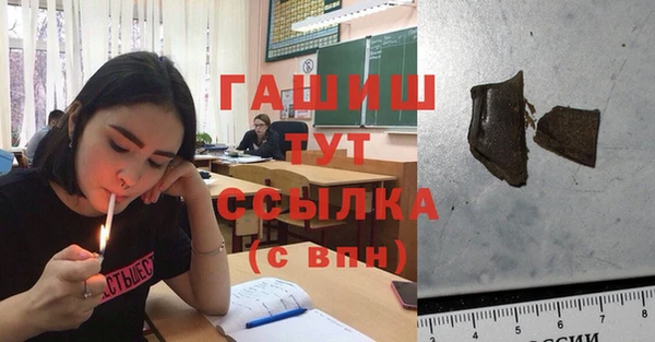 дживик Верхний Тагил